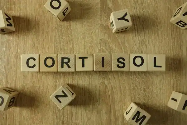 The Hidden Connection: How Stress Shapes Your Fitness and Body Composition 2 Image saying "Cortisol" and how stress Brentford impacts your wellbeing and bodies shape
